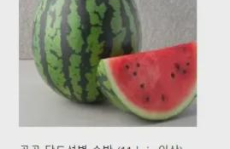 免费吃瓜官网,揭秘网络娱乐新潮流，畅享无界限的趣味盛宴