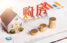 专家称中国不存在房贷压力大问题,中国房贷压力真相解析与公众反响