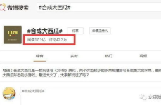 如何评价娱乐吃瓜自媒体,热度背后的真相与反思