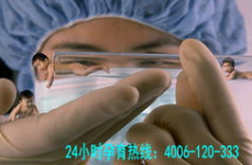 广东试管婴儿,孕育生命的奇迹之旅
